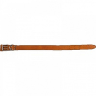 Ошейник кожа 45 мм (двойная)