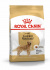Корм для собак Royal Canin Golden Retriever Корм сухой для взрослых собак породы Голден Ретривер от 15 месяцев, 312кг