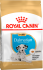 Корм для собак Royal Canin Dalmatian Puppy Корм сухой для щенков породы Далматин до 15 месяцев, 12 кг