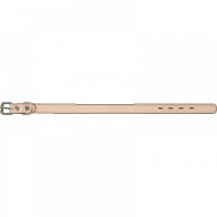 Ошейник кожа 25 мм (подкладка) 42-52 см х 25 мм