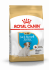 Корм для собак Royal Canin Jack Russell Terrier Puppy сухой для щенков породы Джек Рассел Терьер до 10 месяцев, 0,5 кг
