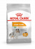 Корм для собак Royal Canin Mini Coat Care Корм сухой для взрослых собак мелких размеров с тусклой и сухой шерстью, 1 кг